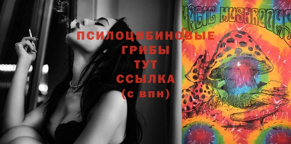 кокс Осташков