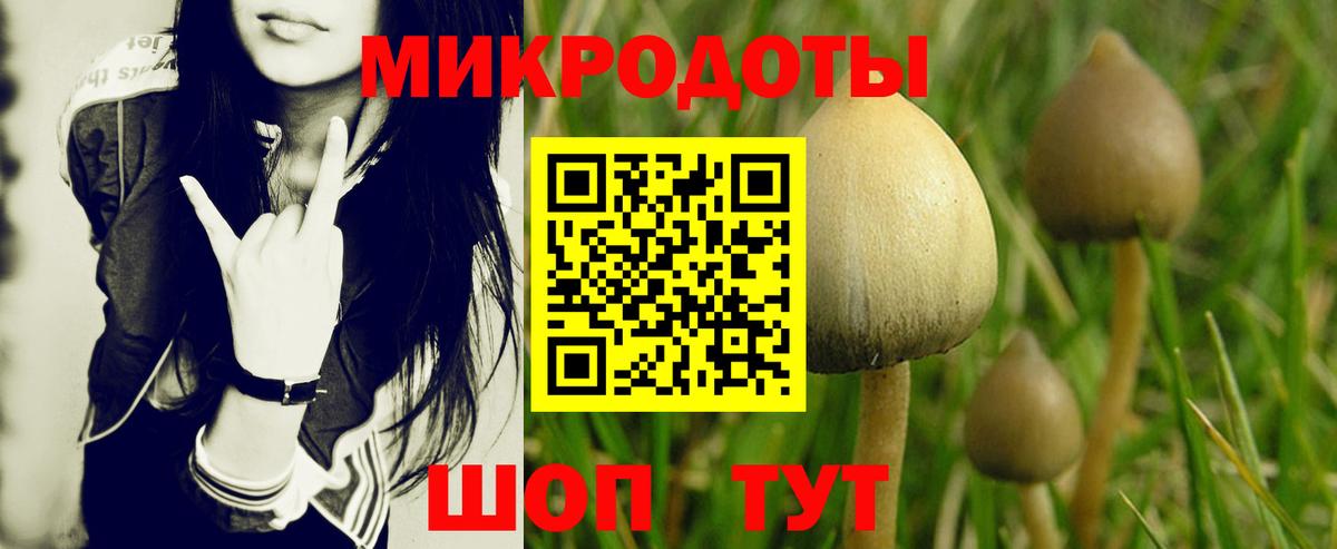 Псилоцибиновые грибы Magic Shrooms Кинешма
