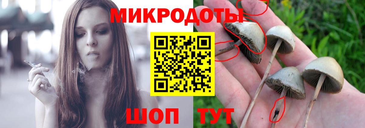 Галлюциногенные грибы Psilocybine cubensis  Вход с VPN  Кинешма  Галлюциногенные грибы Cubensis 